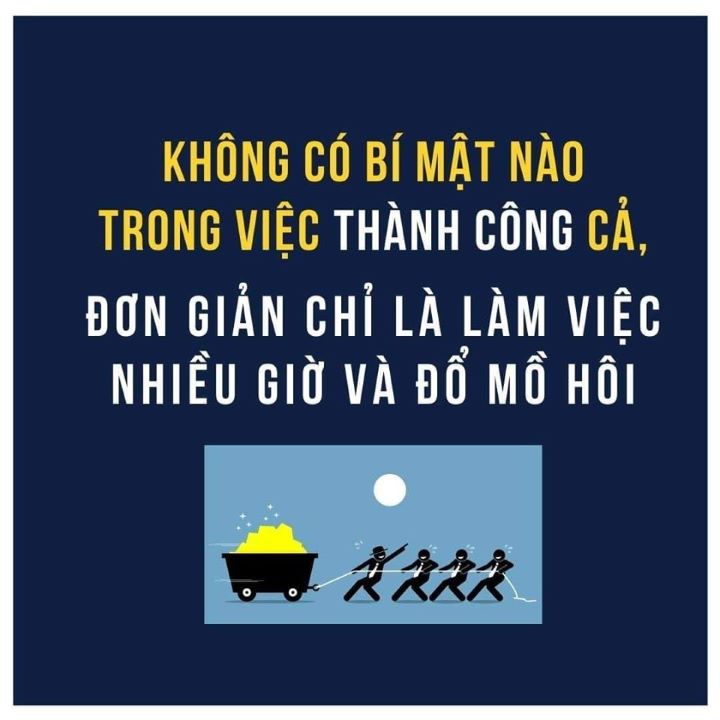 THANH-CONG-NAO-CHI-TRAI-HOA-HoNG-28